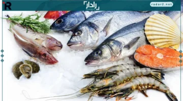 أسعار الأسماك.. تحديثات الثلاثاء 11 نوفمبر 2025 تكشف تغييرات ملحوظة في السوق